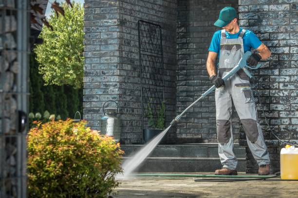 Best Gutter Cleaning  in Plainview, TN